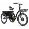 Elektrobicykel Leader Fox trojkolka LOVELO, model 2025 17,4 Ah / 626 Wh čierna Leader Fox