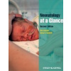 Neonatology at a Glance - T. Lissauer, A. A. Fanaroff