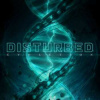 CD Disturbed: Evolution