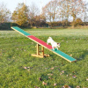 AGILITY hojdačka/lávka 300x54x34cm max.do 80kg TRIXIE