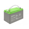 Qoltec 12V 100Ah