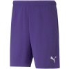 Pánske športové kraťasy Puma TEAMRISE SHORT fialové 704942-10 - M