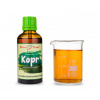 Kopr - bylinné kapky (tinktura) 50 ml - doplněk stravy