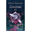 Zaklínač VI. - Věž vlašt… (Andrzej Sapkowski)
