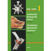 Anatómia domácich cicavcov 1+2 komplet /Anatomie domácích savců (H. E. König, H.-G. Liebich - vyd. Hajko a Hajková)
