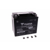 Yuasa YTX12-BS