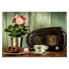 Fototapeta 3D retro rádio kvetiny 250x175 F00999 (Fototapeta 3D retro rádio kvetiny 250x175 F00999)