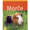 Morče - Jak na to - Immanuel Birmelin