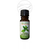 Slovensko Éterický olej Mäta pieporná (silica) (Slow-Natur 10 ml)