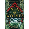 A Sea of Wolves - Sarah Street, Hachette Children's Group