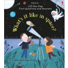 First Questions and Answers: What's it like in Space? (Katie Daynes)(Leporelo)