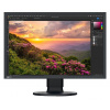 EIZO 24,1