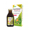 Salus Floradix Vitamín-B-komplex EKO balenie 250 ml