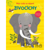 Živočíchy - YoYo Books