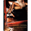 Beautiful Disasters - David Drebin