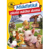 Zvieratká z blízka: Mláďatká okolo nášho domu | Puhola Kitti