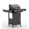 Riwall PRO RGG 21