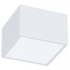 IMMAX NEO CANTO SMART stropné svietidlo 15x15cm 12W biele Zigbee 3.0, TUYA 07072L-15