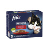 Nestle Nestlé FELIX Fantastic cat Multipack mäsový výber želé kapsička 12x85 g