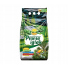 PLANTA Hnojivo na ihličnany 5 kg