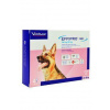 Effipro DUO Dog L
