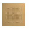 Hansgrohe Raindance E Hlavová sprcha, 40x40 cm, EcoSmart, kefovaný bronz 26253140-HG