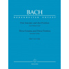 Three Sonatas and Three Partitas for Solo Violin BWV 1001-1006