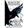 The Raven Boys - Maggie Stiefvater