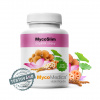 ❤️ MycoMedica MycoSlim | UDRŽANIE OPTIMÁLNEJ TELESNEJ HMOTNOSTI ❤️ AKCIA: ✅ od 2 ks 📉 - 7 % až - 13 % ZĽAVA ❤️ 90 rastlinných kapsúl po 500 mg extraktu ❤️ MycoMedica® - KVALITNÉ Prírodné výživo