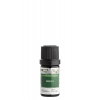 Nobilis Tilia éterický olej Mrkva, semená 5 ml