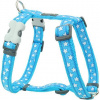Postroj RD 15 mm x 36-54 cm - Stars White