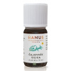 HANUS SILICA ČAJOVNÍK ole 1x10 ml Hanus - Bylinné prípravky