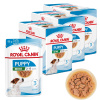 Royal Canin Mini Puppy vlhké krmivo pre šteniatka malých plemien 36x85 g