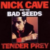 NICK CAVE & THE BAD SEEDS - TENDER PREY (1DVD)