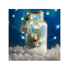 Dekorácia vianočná FAMILY 58750 snehová fľaša