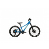 Pells Rocket Trail 20 2024