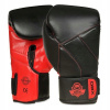 Boxerské rukavice DBX BUSHIDO B-2v15 12 oz