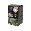 Repti Planet Žárovka Daylight Neodymium 50 W