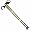 NW 603 Nordic walking palice NILS EXTREME