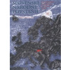 Slovenské národné povstanie - Slovensko a Európa v roku 1944 (Marek Syrný a kolektiv - vyd. Múzeum Slovenského Národného Povstania)