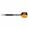 Šípky Target soft 19g Raymond van Barneveld mosadz, RVB čierne