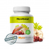 ❤️ MycoMedica MycoSomat | ODBLOKOVANIE ENERGETICKÝCH BLOKÁD ❤️ AKCIA: ✅ od 2 ks 📉 - 7 % až - 13 % ZĽAVA ❤️ 90 rastlinných kapsúl po 500 mg extraktu ❤️ MycoMedica® - KVALITNÉ Prírodné výživové d