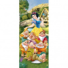 Dverová fototapeta - DV0259 - Snehulienka 91cm x 211cm - Samolepiaca fólia