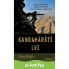 E-kniha Kandahárští lvi - Rusty Bradley