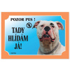 Dafiko Tabulka americký buldog 1 ks