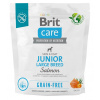 Brit Care Grain-free Junior Large Breed Salmon & Potato 1kg