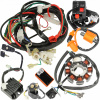 Elektrická inštalácia Zväzok Cievka Modul Atv Quad Bashan Eagle 200 250