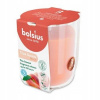 BOLSIUS Peach 313 g