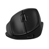 HP Inc. 720M Capacitor Tilt Ergonomic Mouse BH0Z4AA#ABB