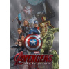 Avengers II - Age of Ultron DVD